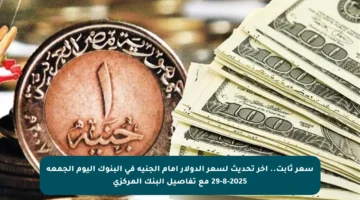 سعر ثابت.. آخر تحديث لسعر الدولار أمام الجنيه في البنوك اليوم الجمعة 29-8-2025 مع تفاصيل البنك المركزي
